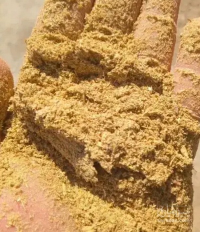 فروش سبوس برنج