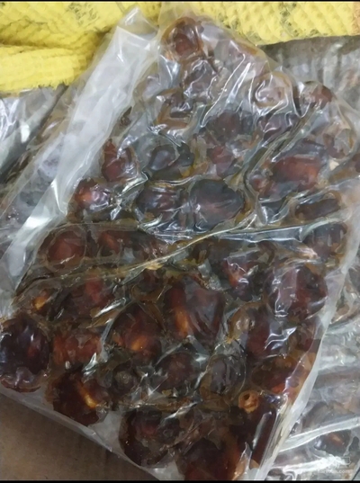 فروش خرما