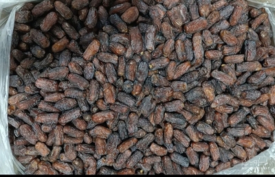 فروش خرما