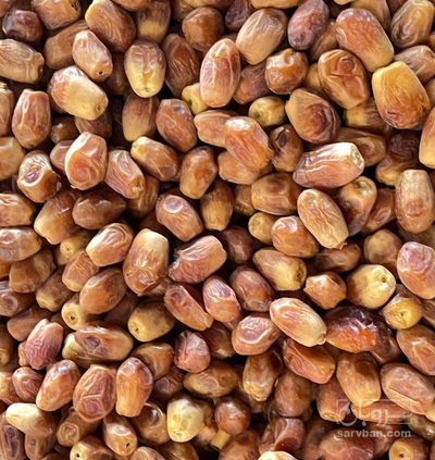 فروش خرماکبکاب
