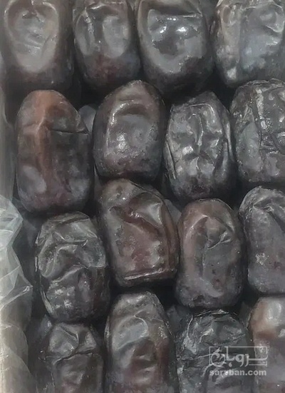 فروش خرما