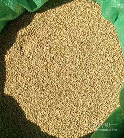 فروش ارزن