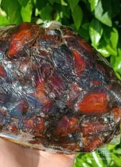 فروش خرما