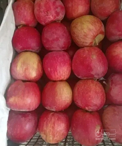 فروش سیب