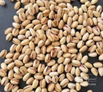 فروش پسته