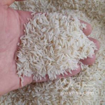 فروش برنج طارم هاشمی