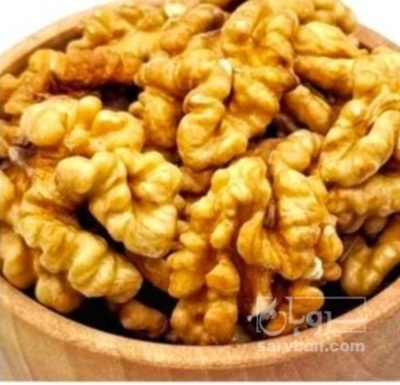 فروش گردو
