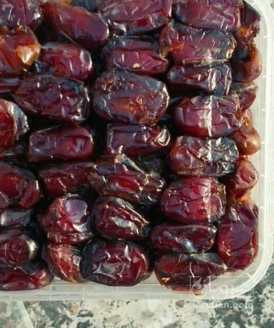 فروش خرما
