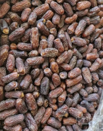 فروش خرما