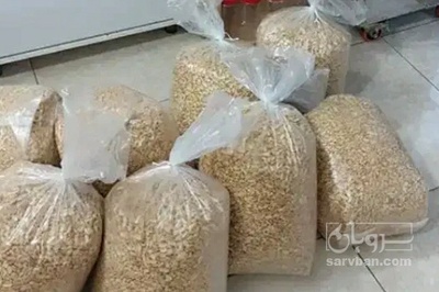 فروش بادام زمینی بی قلاف برشته