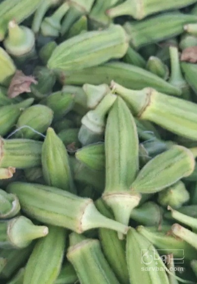 فروش بامیه