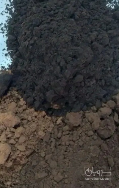 فروش  پودرهسته خرما