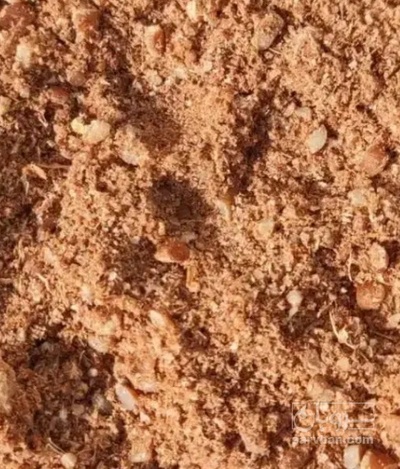 فروش  پودر گوشت خرما