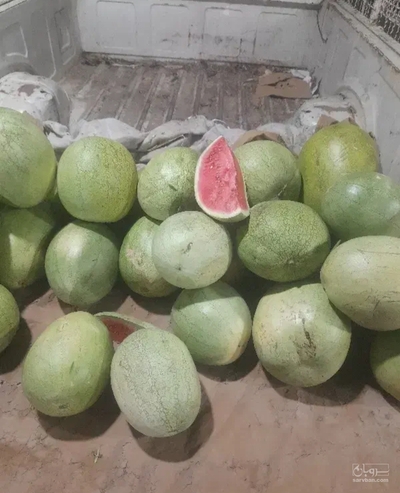 فروش هندوانه
