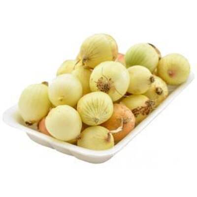 فروش پیاززرد