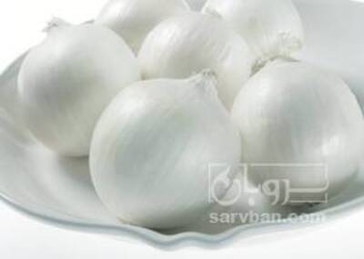 فروش پیازسفید