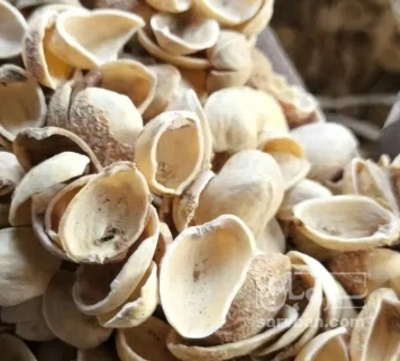 فروش پوست پسته (گیاه‌ دارویی)
