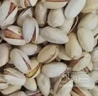 فروش پسته اکبری