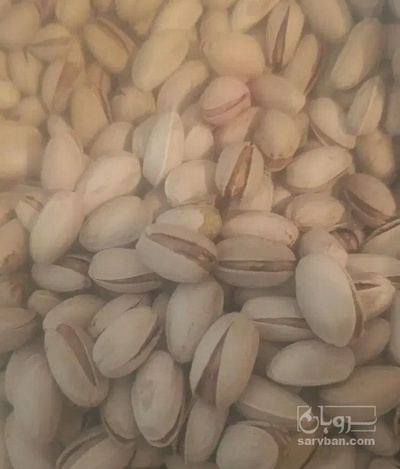 فروش پسته احمد اقایی