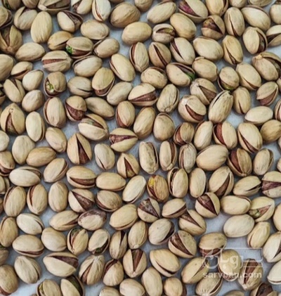 فروش پسته فندقی