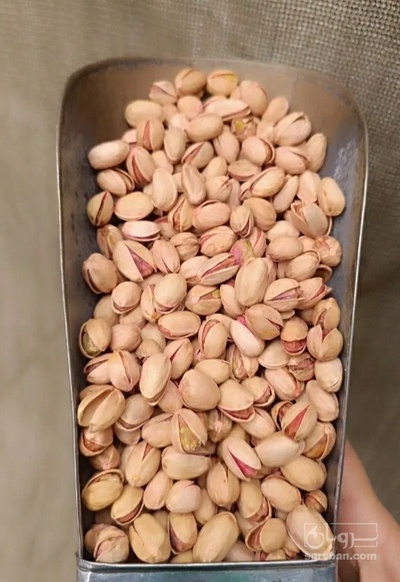 فروش پسته کله قوچی
