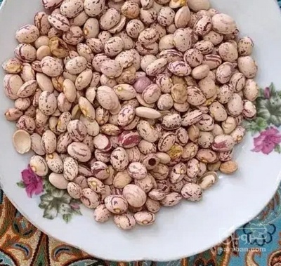 فروش لوبیا چیتی
