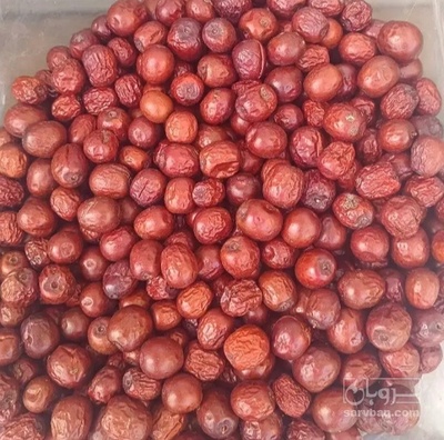 فروش عناب
