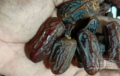 فروش خرما پیارم