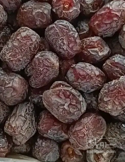 فروش خرما مجول