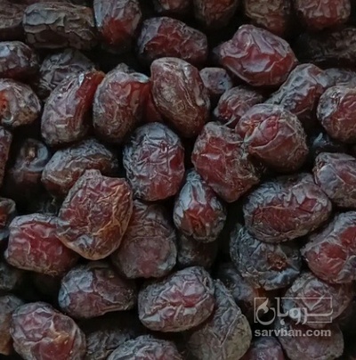 فروش خرما مرداسنگ