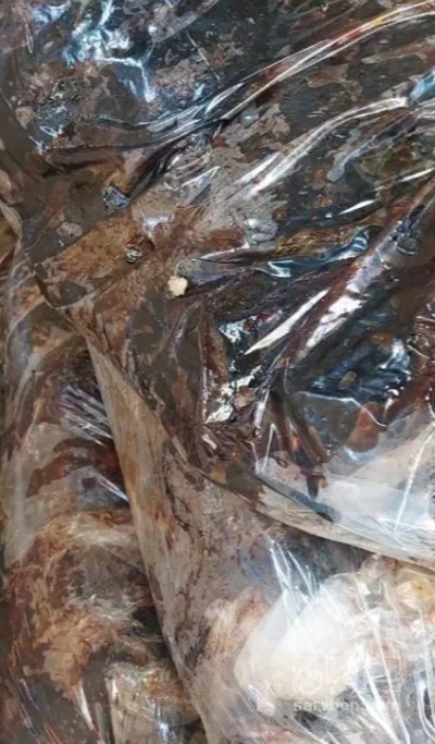 فروش خرما صنعتی