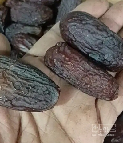 فروش خرما پیارم