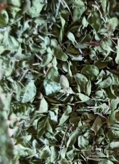 فروش آویشن خشک (گیاه‌ دارویی)