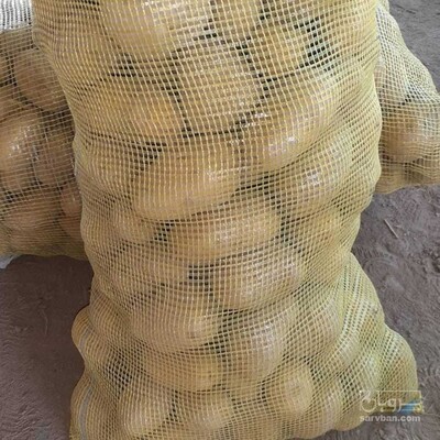 فروش سیب زمینی