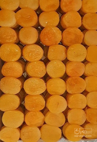فروش برگه قیسی