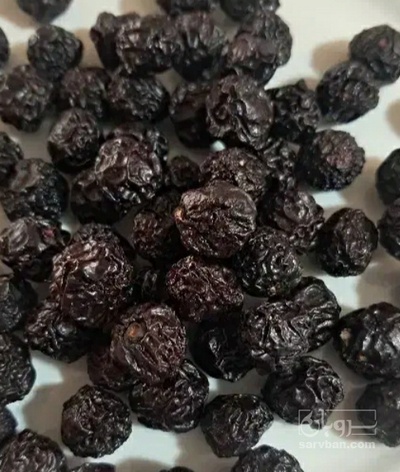 فروش آلبالو خشک