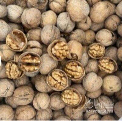 فروش گردو