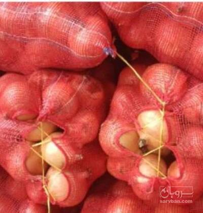 فروش پیاز