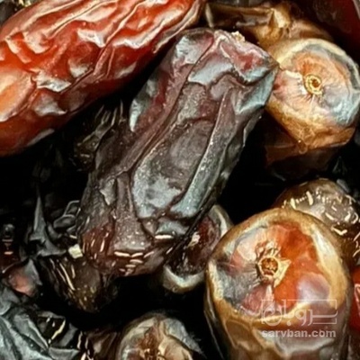 فروش خرما کلوته