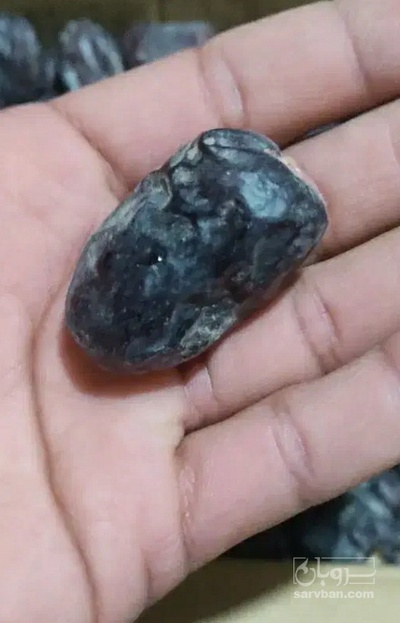 فروش خرما