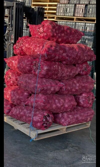 فروش پیاز
