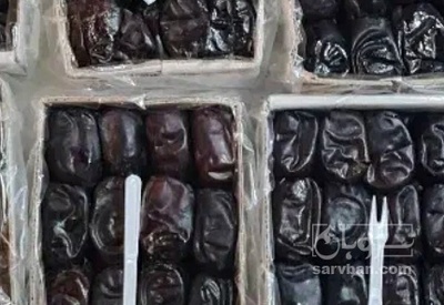 فروش خرما مضافتی