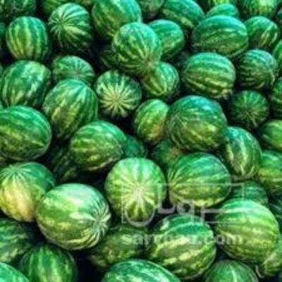 فروش هندوانه گرد