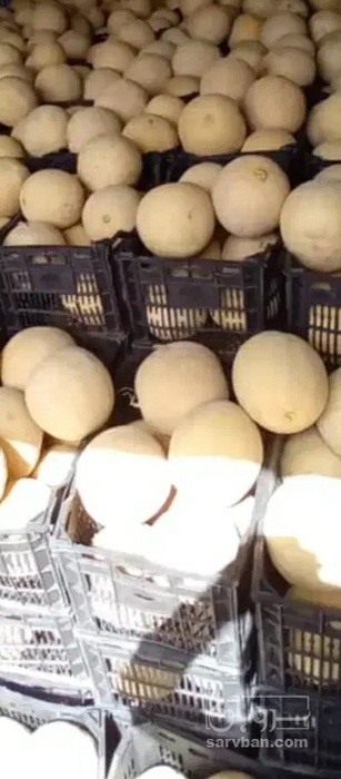 فروش ملون