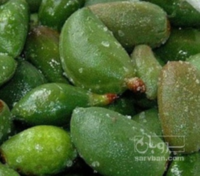 فروش چغاله بادام