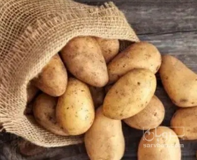 فروش سیب زمینی