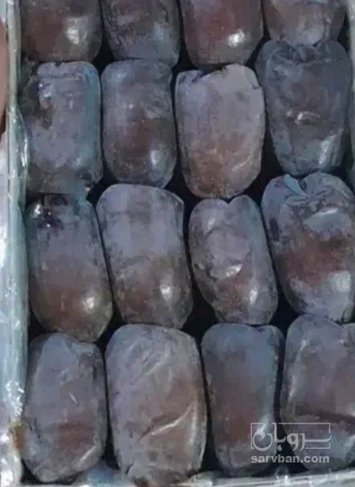 فروش خرما