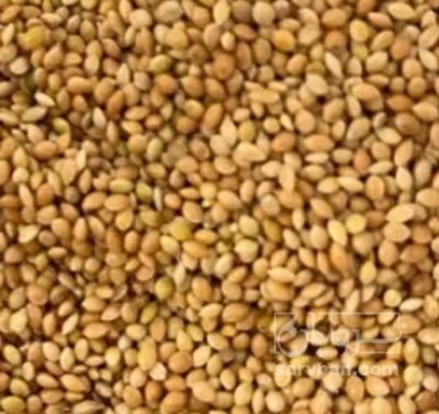 فروش ارزن