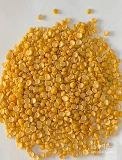 فروش نخود کفتری - لپه