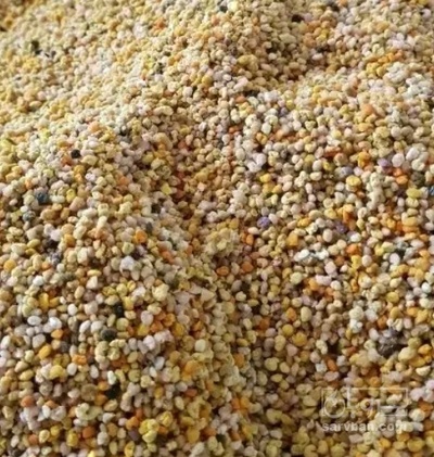فروش گرده گل